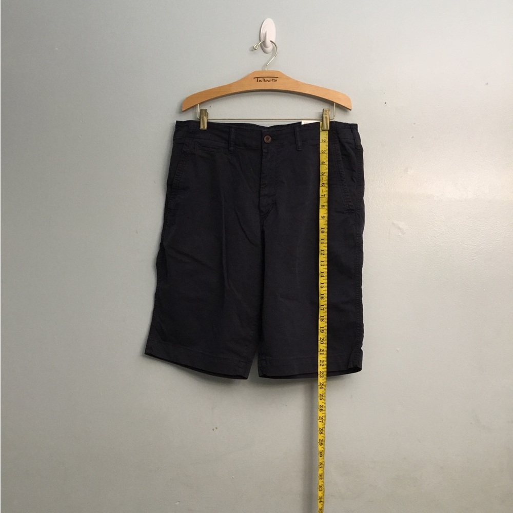 American Eagle Outfitters Blue Flat Front Shorts